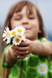 85130198-31E7-4529-8249-065109F4AE45