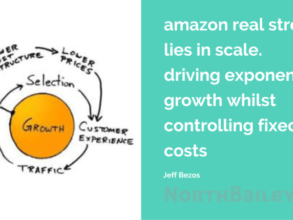 amazon strength lies in&nbsp;scale
