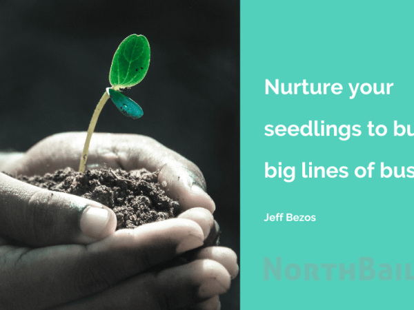 Nurture your seedlings to build big lines of&nbsp;business